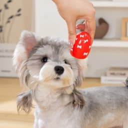Soft Bouncing Egg Dog Toy with Squeaker, Easter Egg Design Interactive Puppy Toy for Small Dogs, Indoor Outdoor Throw & Play Pet Toy - Thumbnail 9