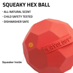 Play by Playology | Squeaky Texture Ball Small Beef 3 Pack | Beef Scented Rubber Dog Toy - Thumbnail 2