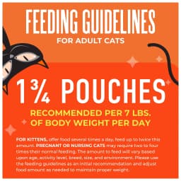 Tiki Cat Friends Wet Cat Food, Chicken & Pumpkin, 2.5 oz. Pouch - Thumbnail 8