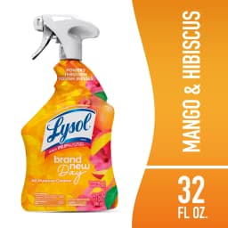Lysol Brand New Day All Purpose Cleaner Mango & Hibiscus, Deep Clean 32 fl oz - Thumbnail 1