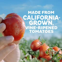Hunts Tomato Ketchup, 20 oz. Squeeze Bottle - Thumbnail 2