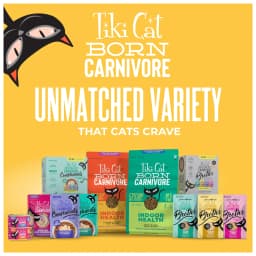 Tiki Cat Born Carnivore Indoor Health Dry Cat Food, Chicken & Turkey Meal, 3 lbs. Bag - Thumbnail 8