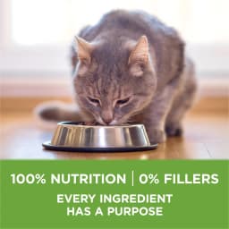Purina ONE Plus, Indoor Advantage, Dry Cat Food, Turkey, 7 lb Bag, 4 Pack - Thumbnail 8