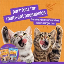 Purina Friskies Meaty Bits Chicken Dinner in Gravy Wet Cat Food, 13.5 oz Can - Thumbnail 8