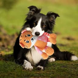 WZXPWT Plush Soundmaking Toy, Interactive Plush Toy for Teeth Grinding Relief, Squeaky and Crinkle Paper Dog Toy, Soft and Safe Pet Companion - Thumbnail 5