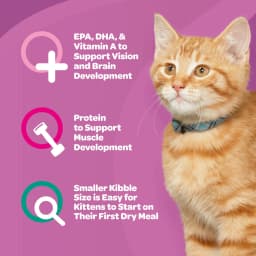 9Lives Kitten Essentials Chicken & Ocean Fish Dry Cat Food, 2.5lb Bag - Thumbnail 3