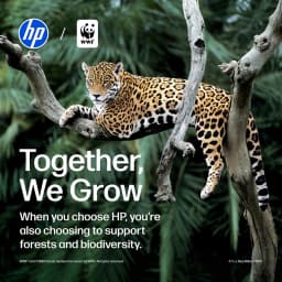 HP 14 inch HD Windows Laptop AMD Athlon Silver 7120U Processor 4GB 256GB SSD Tranquil Pink - Thumbnail 17