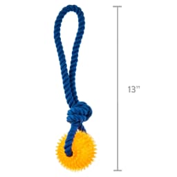 Vibrant Life Playful Buddy Rope w TPR Spikey Ball Dog Tug Toy - Thumbnail 6