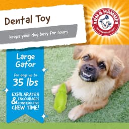Arm & Hammer Super Treadz Gator Durable Dog Dental Toy - Thumbnail 5