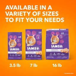 Iams Proactive Health Chicken Dry Cat Food For Kittens, 7 Lb Bag - Thumbnail 11