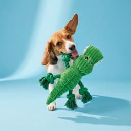 Vibrant Life Green Alligator Plush Dog Toy with Squeaker, Chew Level 3 - Thumbnail 2