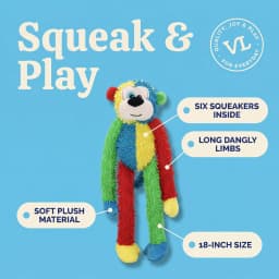Vibrant Life Multicolor Monkey Plush Dog Toy with Squeakers, Chew Level 1 - Thumbnail 5