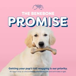 Benebone Essentials Puppy 2-pack Wishbone & Dental Chew Bacon Tiny - Thumbnail 8