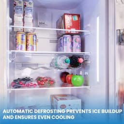 Conserv 12cf No Frost Bottom Freezer Refrigerator Wine Rack GARAGE READY E-Star - Thumbnail 4