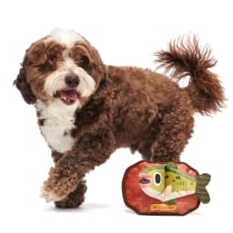 BARK Singing Bass Big Squeak Plush Dog Toy, for Small and Medium Dogs - Thumbnail 5