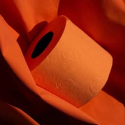 Renova Orange Toilet Paper, 48 Rolls, 140 Sheets Per Roll - Thumbnail 8