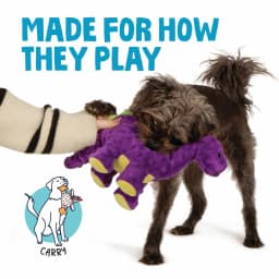 goDog Dinos Bruto Plush Toy for Dogs with Chew Guard Technology for Stronger & Longer Play, Soft & Durable with Built-In Squeaker, Purple, Medium - Thumbnail 5