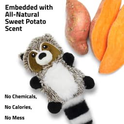 Playology Dog Toys | Interactive Stuffed Animal Raccoon, Sweet Potato Scented Toy, Small - Thumbnail 4