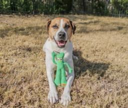Multipet GUMBY PLUSH - Thumbnail 10