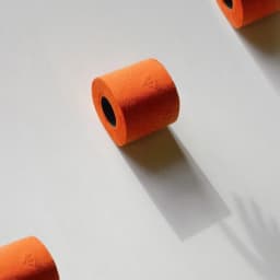 Renova Orange Toilet Paper, 48 Rolls, 140 Sheets Per Roll - Thumbnail 9