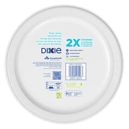Dixie Disposable Paper Plates, 10", Multi-Color, 100 Count - Thumbnail 7