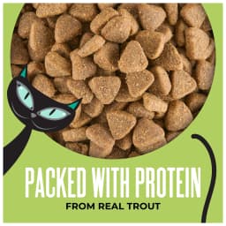 Tiki Cat Born Carnivore Indoor Health Dry Cat Food, Trout & Menhaden Fish Meal, 3 lbs. Bag - Thumbnail 3