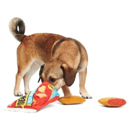 BARK 3-Part Pizza Roll Squeak Lovers Snacks Dog Toy For Medium and Large Dog Sizes - Thumbnail 8