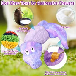 Pet Deluxe Dog Toys for Super Aggresive Chewers Indestructible Interactive Tough Dog Chew Crocodile Toy Heavy Duty Durable Toys Teeth Cleaning - Thumbnail 5