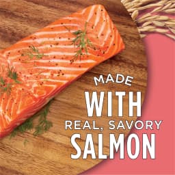 Purina Cat Chow Complete High Protein Dry Cat Food with Real Salmon, 3.15 lb Bag - Thumbnail 4