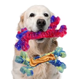 Aelflane 2 Pack Dog Toys for Aggressive Chewers,Dog Chew Toys,Boredom and Stimulating Best Dog Toys for Medium/Large Breed,Tough Almost - Thumbnail 1
