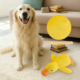 Chew-Proof Squeaky Plush Toy For Dogs & Cats,Pet Plush Chew Toy,Pet Enrichment Toys,Gifts for Pets and Pet Lovers(C) - Thumbnail 4