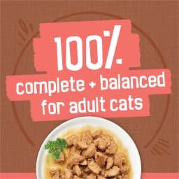 Purina Friskies Extra Gravy Beef, Chicken, Turkey, & Salmon Chunky Wet Cat Food Variety Pack, 5.5 oz Cans (24 Pack) - Thumbnail 6