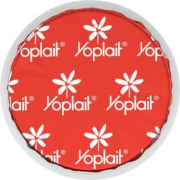Yoplait Original Low Fat Harvest Peach Yogurt Cup, Made with Real Fruit, 6 oz - Thumbnail 14