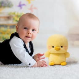 YiJuHui 1pcs Plush Realistic Chick Stuffed Animal - Ultra Soft Anxiety Relief Companion Toy for Sleep Aid & Stress Comfort - Thumbnail 6