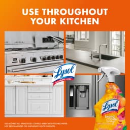 Lysol Brand New Day All Purpose Cleaner Mango & Hibiscus, Deep Clean 32 fl oz - Thumbnail 5