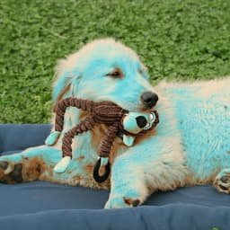 Pet Dog Animals Chewing Toys Durable Non-toxic Stuffed Cashmere Funny Toys Pets Supply - Thumbnail 5
