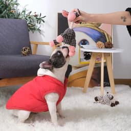 Dog Toy Durable Stuffed Animal Chew Toy With Squeak Cute Dog Toy For Small To Medium Dogs Dog Rope for Large Dogs Christmas Dog Squeaky - Thumbnail 9