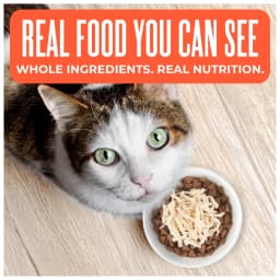 Tiki Cat Born Carnivore Indoor Health Dry Cat Food, Chicken & Turkey Meal, 3 lbs. Bag - Thumbnail 2
