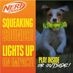 Nerf Dog TPR LED Bubble Light Up & Squeak Stick, 7 inch - Thumbnail 3