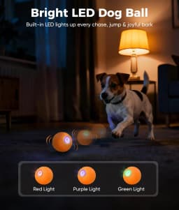 Petbobi Automatic Interactive Dog Ball, Durable E-TPU Rechargeable Rolling Bouncing Toy for Small Medium Dogs, Orange - Thumbnail 8
