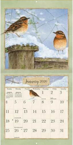 Wells Street by Lang, Garden Birds 2026 Wall Calendar Organizer, 12'' X 12'', 12-Month Calendar with Stapled Binding - Thumbnail 3