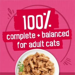 Purina Friskies Surfin' & Turfin' Favorites Prime Filets Wet Cat Food Variety Pack, 5.5 oz Cans (48 Pack) - Thumbnail 5