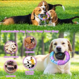 Pet Deluxe Dog Toys for Aggressive Chewers Large Dogs Squeaky Dog Chew Toys for Large Medium Breed Nylon Rubber Interactive Tough Dog Toys to Keep - Thumbnail 6