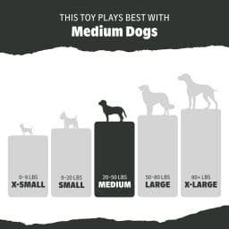 BARK Box Pork Chomp Nylon Chew Dog Toy, Pork Scent, For Large Dogs 50+ lbs - Thumbnail 6