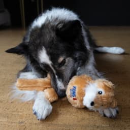 KONG® Wubba Squeaker Dog Toy, Fox, Small - Thumbnail 2