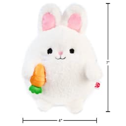 American Greetings 7 in. Easter Plush Bunny with Zipper Pouch (1-Count) - Thumbnail 5