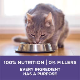 Purina ONE Plus, Hairball Formula Dry Cat Food, Chicken, 16 lb Bag - Thumbnail 7