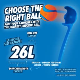 Chuckit! High Bounce Ball Rubber Fetch Dog Toy, Large 3" for Large Dogs Up To 90 lb, Pack of 1, Assorted - Thumbnail 7