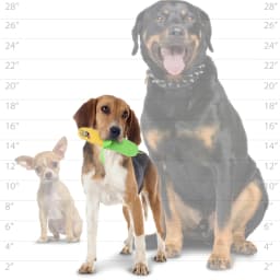 Tuffy Funny Food Corn 2 in 1 Durable Plush Dog Toy - Thumbnail 5