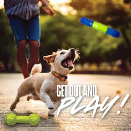 Nerf Dog TPR Squeak Bars Variety, 2 Pack - Thumbnail 4